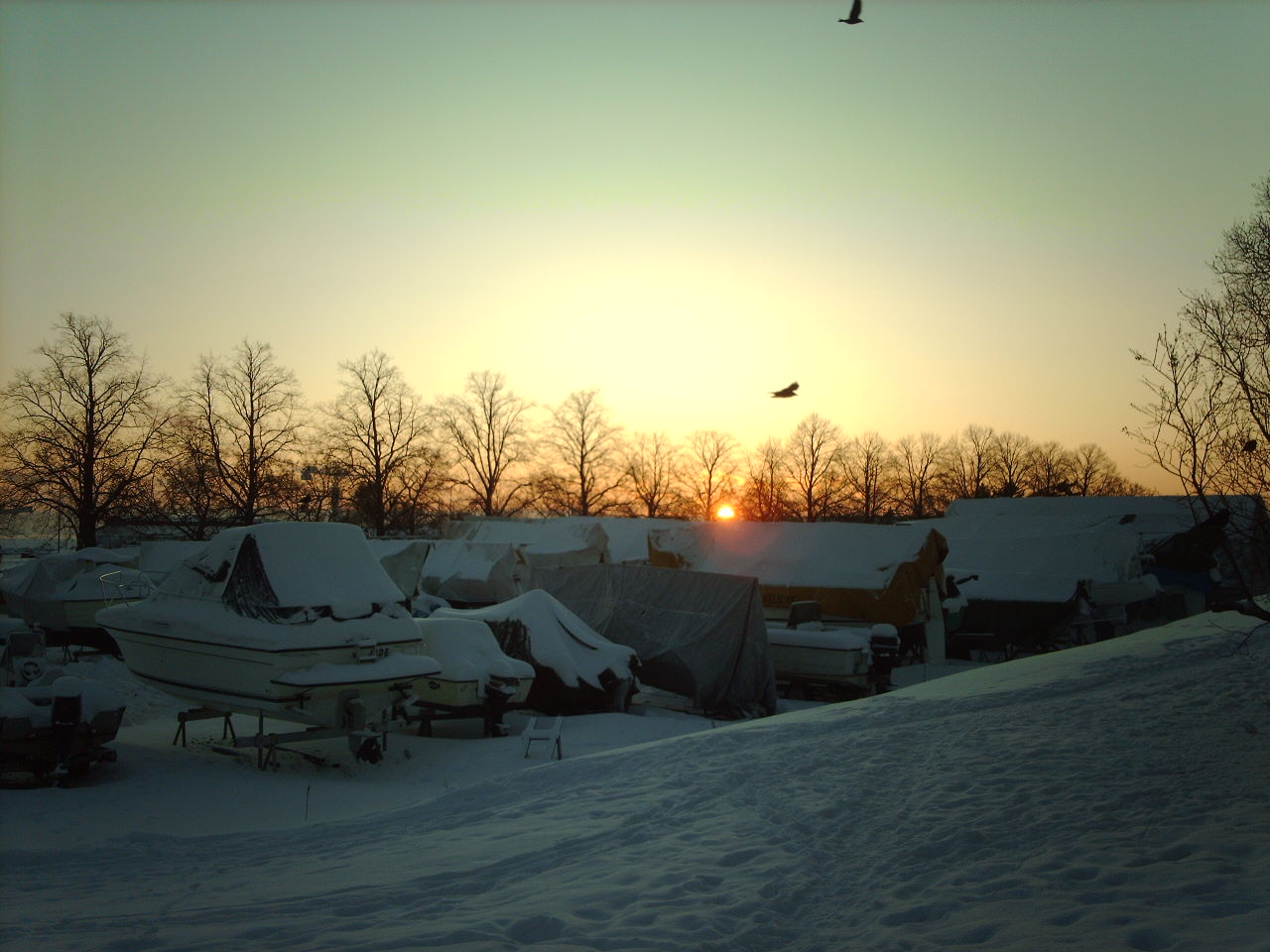 Photo: Hibernating Boats