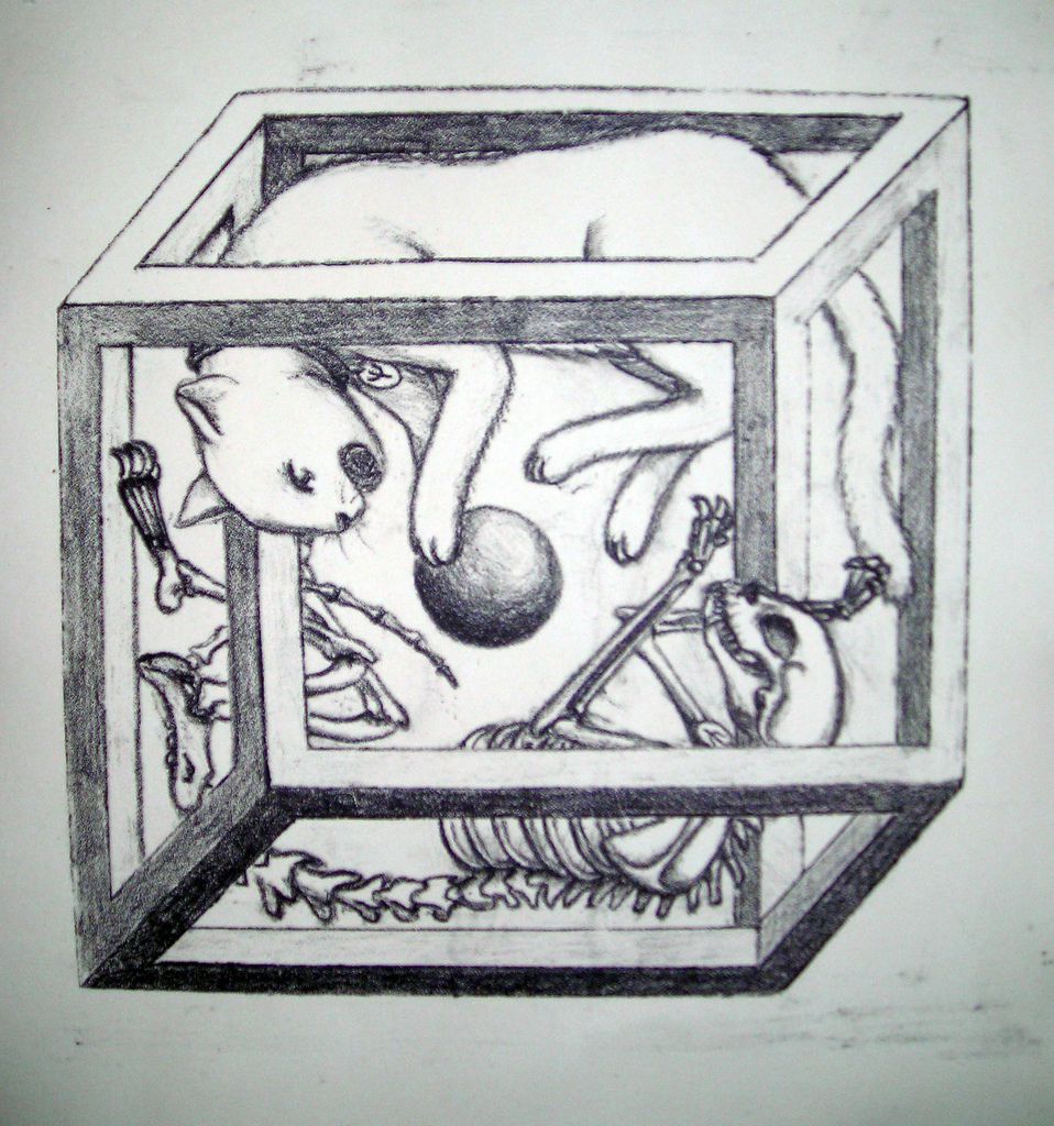 Artistic Depiction of the impossibility of Schrödinger's Cat