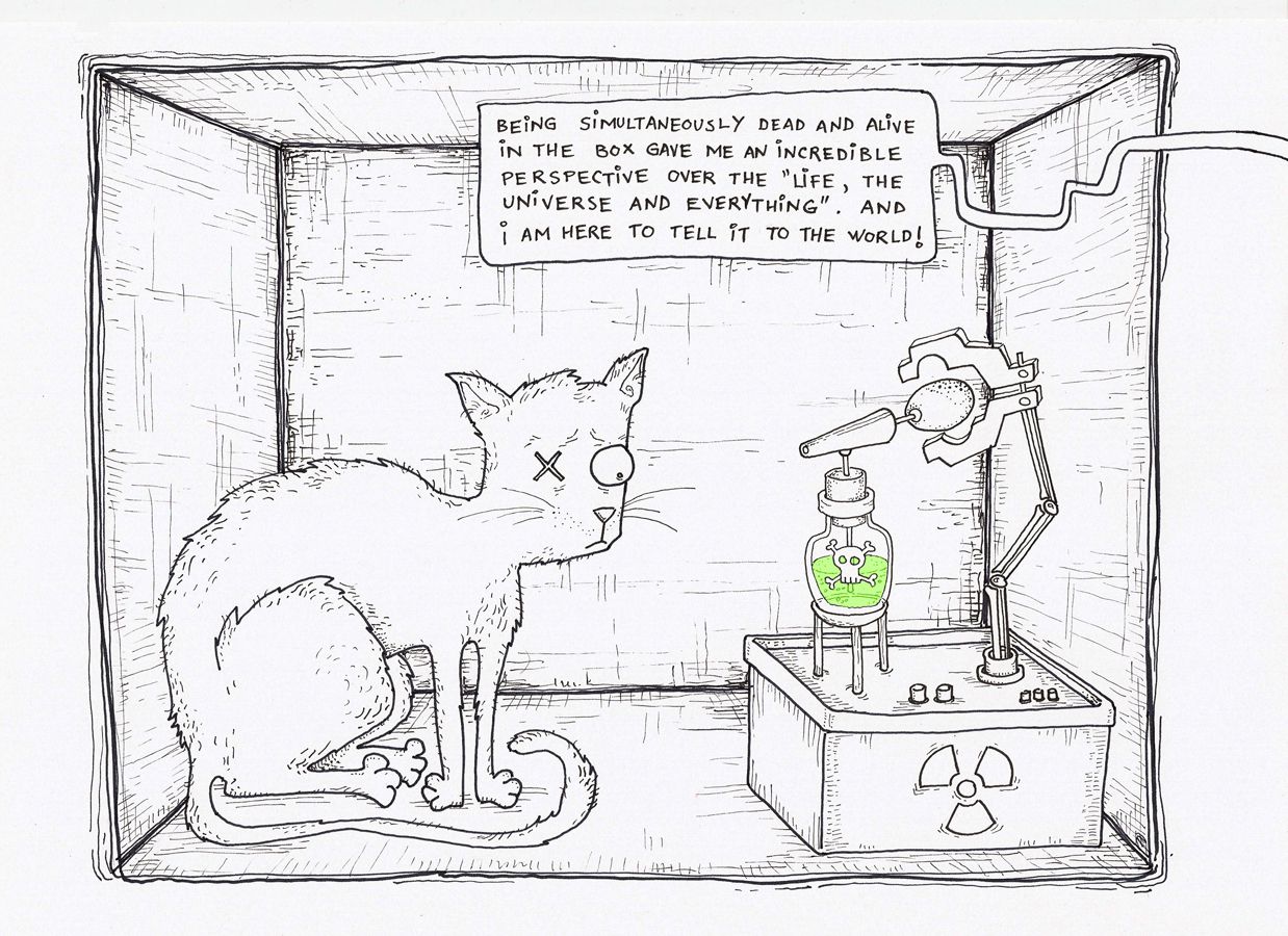 Cartoon of Schrödinger's Cat